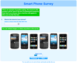 Sample Survey in English
